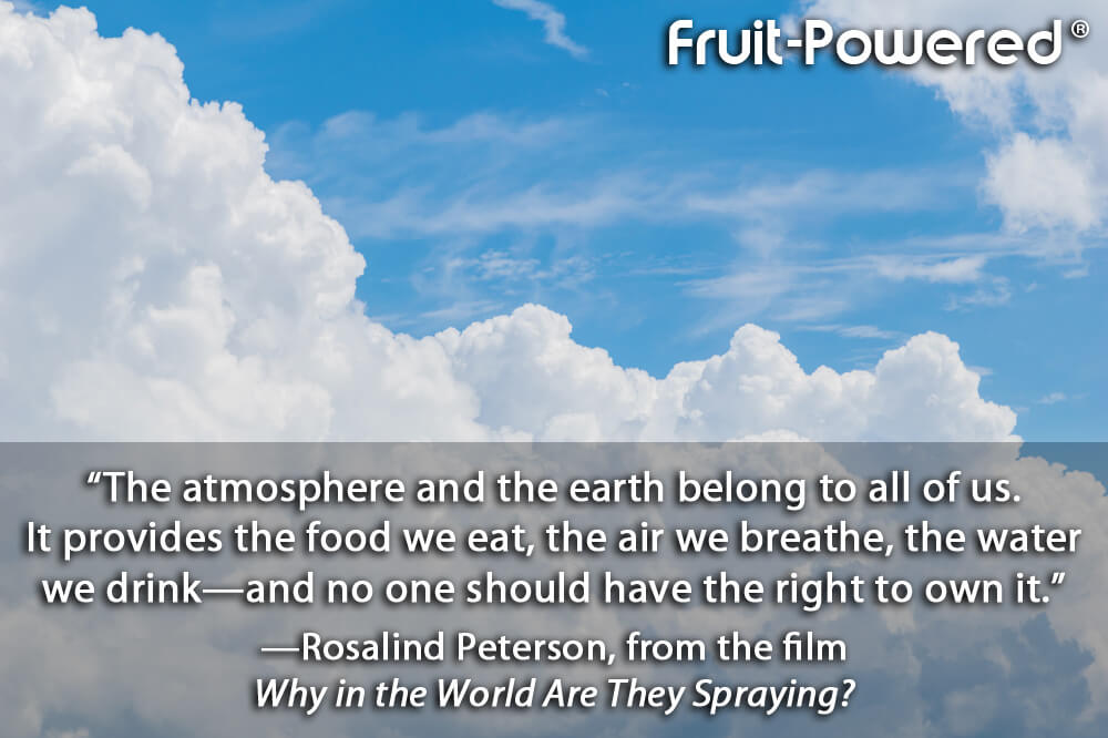 The atmosphere and the earth belong to all of us. It provides the food we eat, the air we breathe, the water we drink—and no one should have the right to own it.