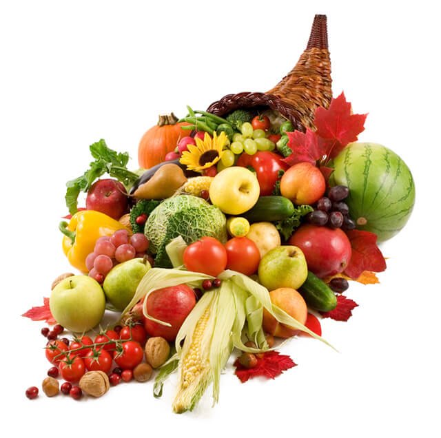A cornucopia of food