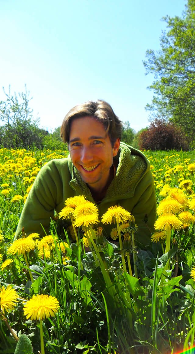 Jesse Bogdanovich in a field of dandelions
