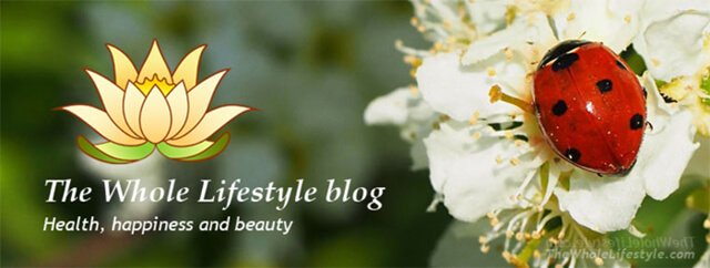 The Whole Lifestyle website banner
