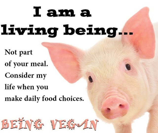 Being Vegan poster featuring a pig
