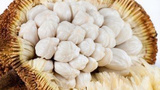 Marang by Harley "Durianrider" Johnstone