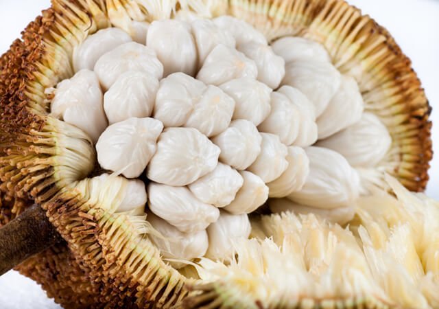 Marang by Harley "Durianrider" Johnstone