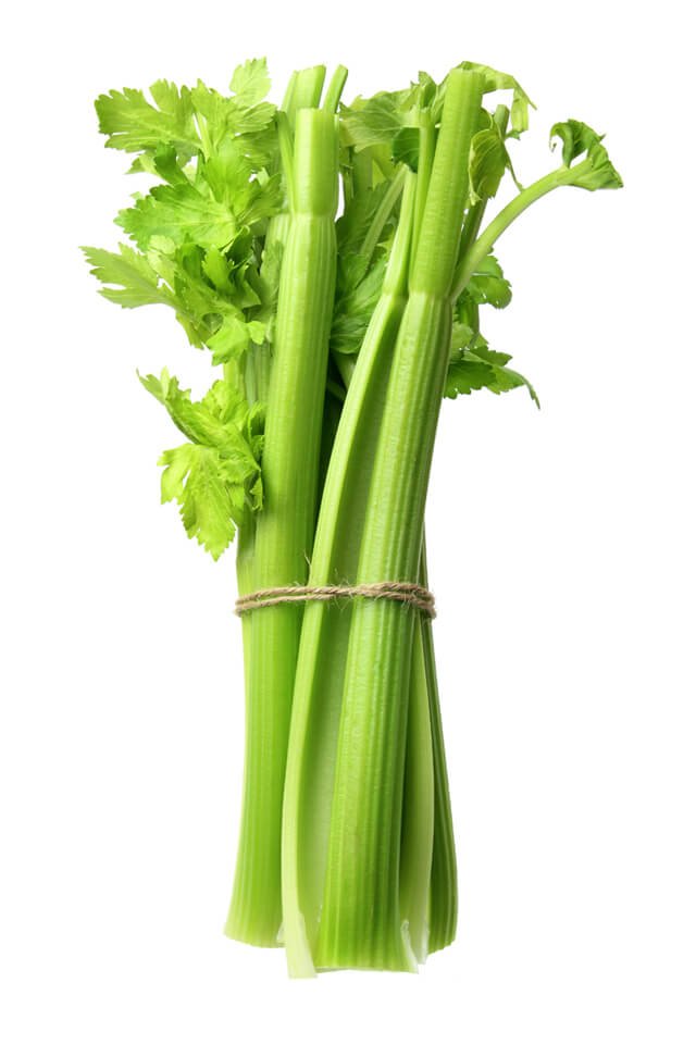 Celery stalk wrapped in twine against white background