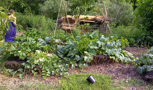 A panoramic view of the garden.