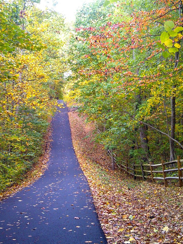 Whispering-wisdom-road-500px