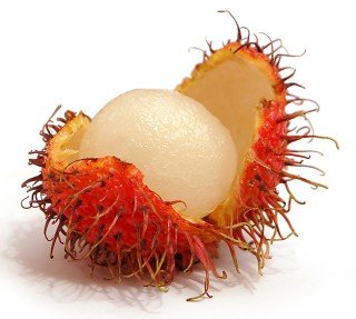 Rambutan against a white background