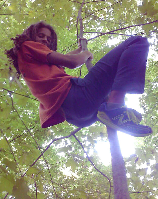 Kevin Rogers climbs a tree