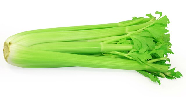 Stalk of celery against white background
