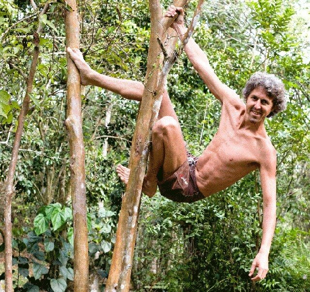 Grant Campbell climbing a guava tree