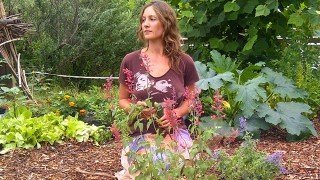 Julie Kersey sitting on her knees in a garden