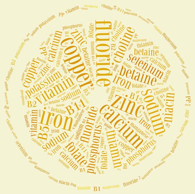 Nutrient word cloud in the shape of an orange