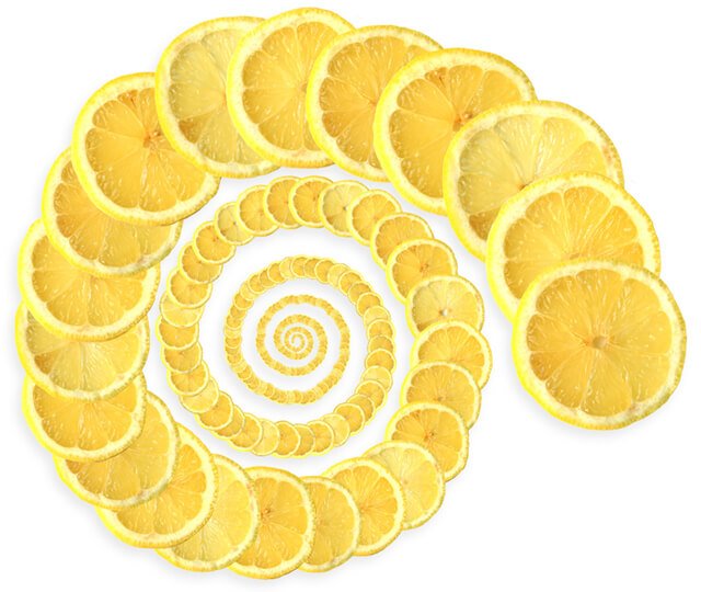 A spiral of lemons against a white background