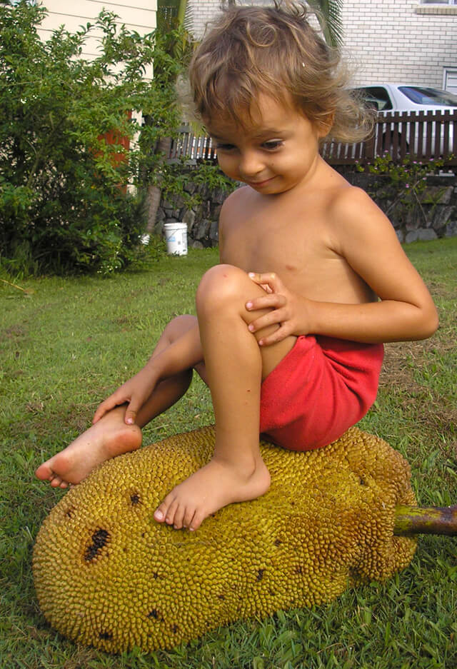 Cappi Osborne sits on a large jackfruit