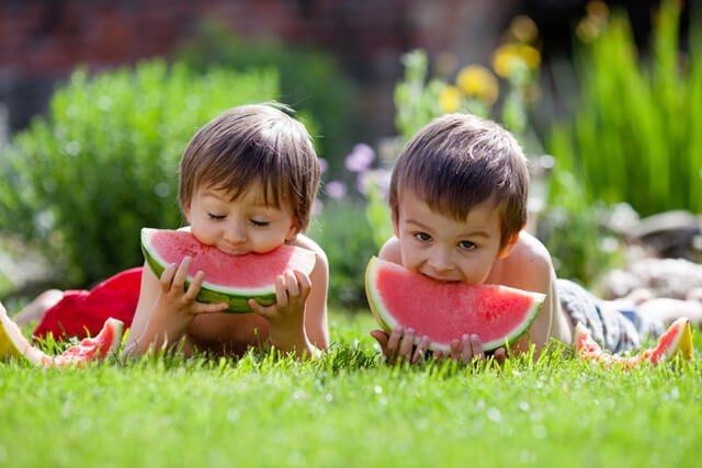 Two boys eating watermelon wedges in a field