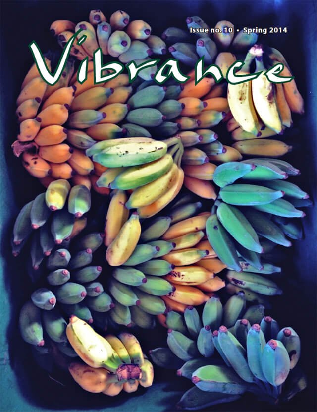Cover of Vibrance magazine issue No. 10