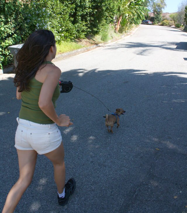 Jesi DiPalo runs with her dog in her neighborhood