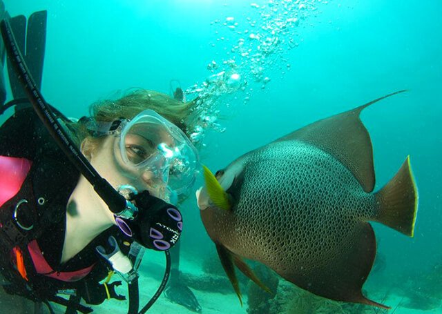 Stephanie Kent is examines fish underwater