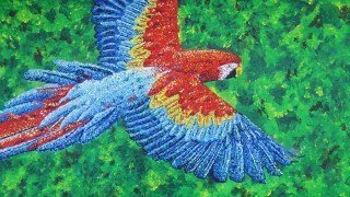 Painting of a bird by Tarah Millen