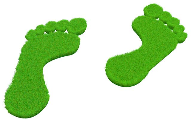 Foot imprints in grass