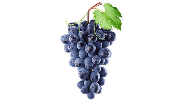Grapes hang against a white background