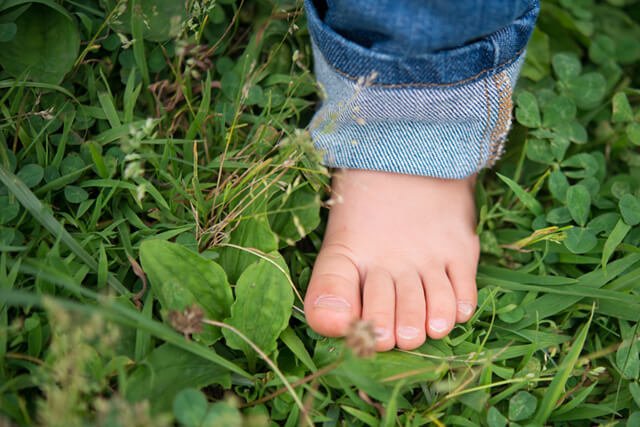 A bare foot planted on grass