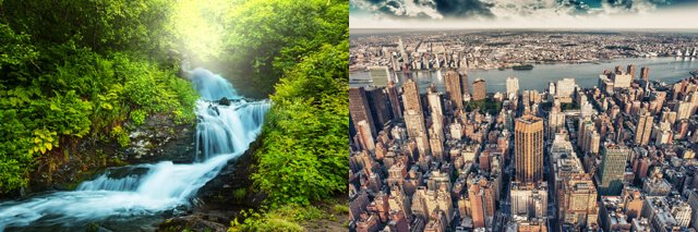 Natural vs. urban environment