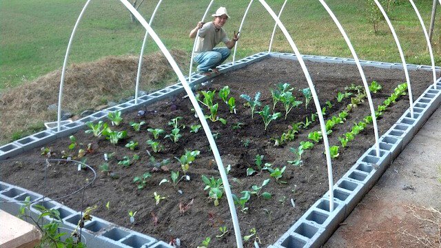 Samuel Mielcarski photographed in his backyard garden