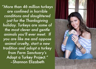 A Farm Sanctuary message from Shannon Elizabeth for its Adopt a Turkey Project