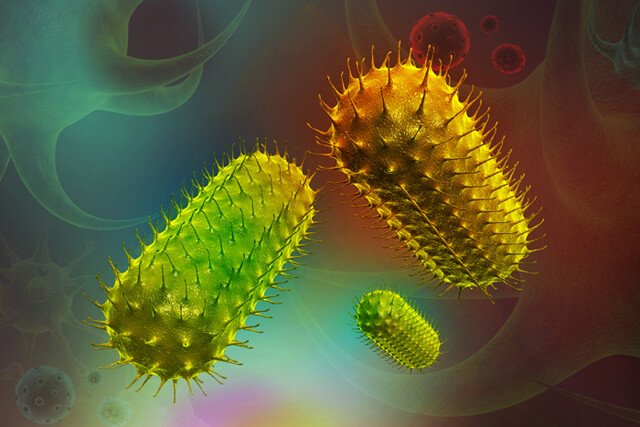 Illustration of bacteria cells