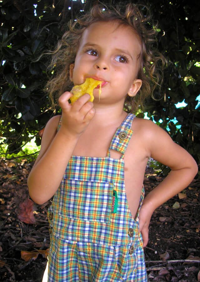 Cappi Osborne eats freshly foraged jackfruit