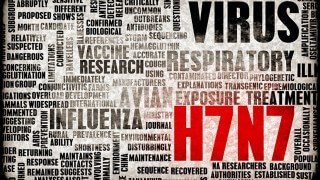 Word cloud featuring influenza