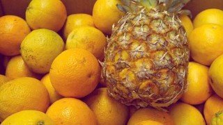 Recipe for Liquid Calcium Sunshine Smoothie