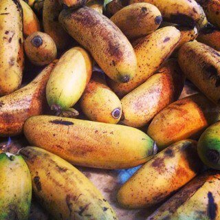 A group of small bananas is photographed
