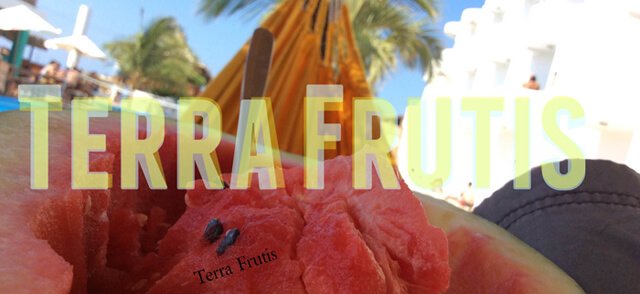 Banner for Terra Frutis