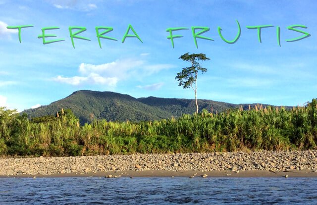 Banner for Terra Frutis with a water source present
