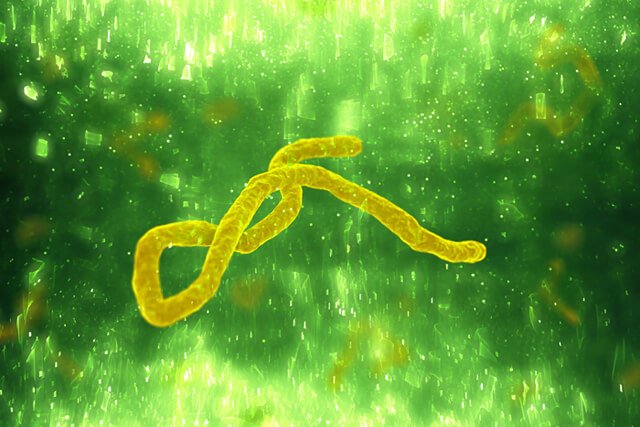 Illustration of a virus