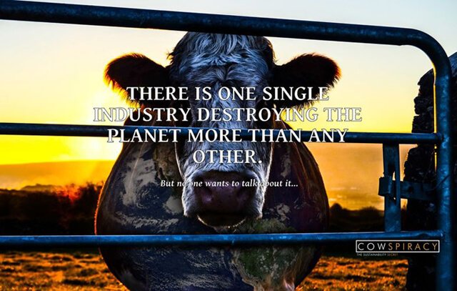 Banner for the film Cowspiracy