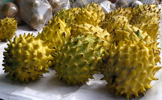 Rollinia are photographed