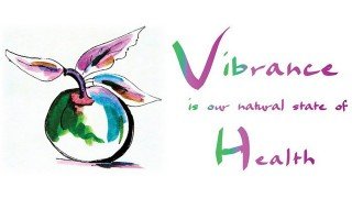 Vibrant Health And Wealth Academy ad