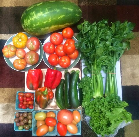 A haul of fruits and vegetables from John Fallucca's CSA