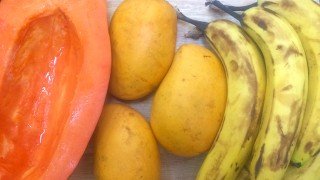 Recipe for Tropical Smoothie from John Fallucca