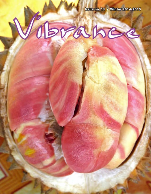 Cover of Vibrance magazine issue No. 11