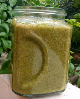 Anjali and Manikya Sanghi's morning green smoothie