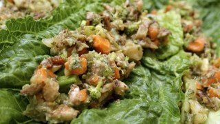 Recipe for Savoury Wraps from Kat Green