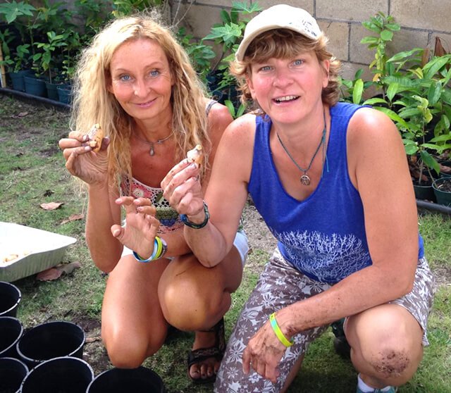 Itsy Sweeney and Anne Osborne at the 2015 Woodstock Fruit Festival Hawaii