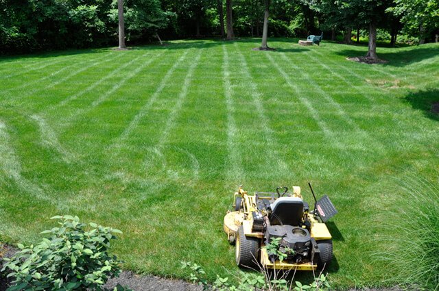 Korey Constable makes the first stripe in mowing a lawn