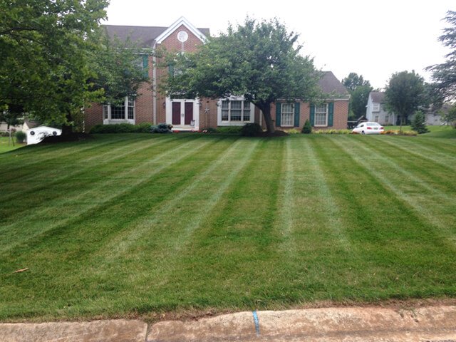 Angled stripes stand out on a suburban Philadelphia lawn