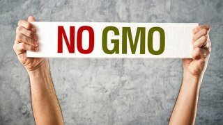 Man's hands hold a sign saying "No GMO"