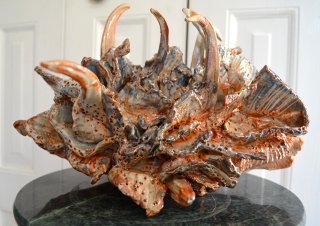 Bluish-white sea sculpture by Betty Korba